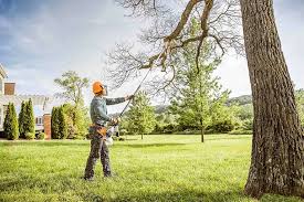 Lawn Pest Prevention in Diamond Bar, CA