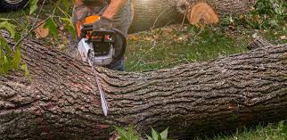 Best Lawn Watering Services  in Diamond Bar, CA