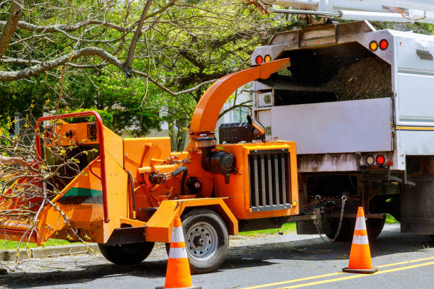 Best Lot and Land Clearing  in Diamond Bar, CA